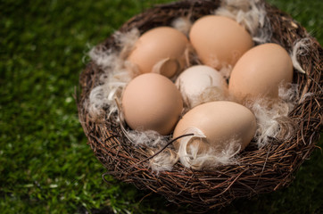 Organic eco eggs in nest on rustic table, Easter
