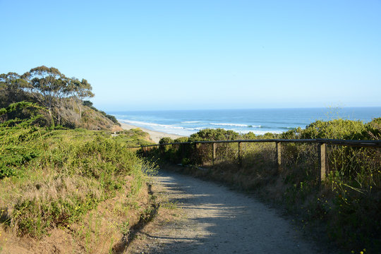 SANTA CRUZ, CALIFORNIA, USA - JULY 3, 2019: Manresa Uplands State Beach