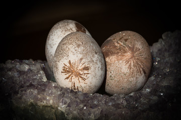 Angel on natural decorated Organic Easter eggs. 