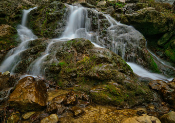 wasser, natur, fluss, bach, landschaft, cascade, wald
