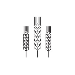 Spike line icon. Agriculture, natural, harvest symbol and illustration Vector