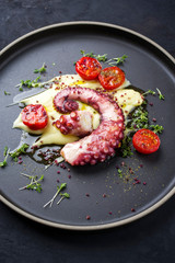 Traditional Italian polpo alla griglia su crema di patate with barbecued octopus, potato puree cream and tomatoes as closeup on a modern design plate