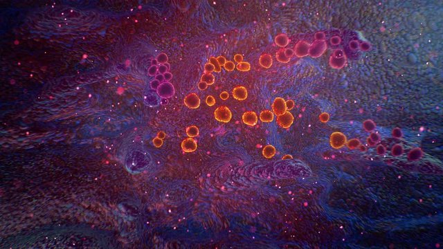  Scanning electron microscope image shows SARS-CoV-2, 2019-nCoV, the deadly virus that causes COVID-19 emerging from the surface of cells cultured in the lab