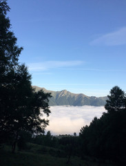 Pyr&eacute;n&eacute;es