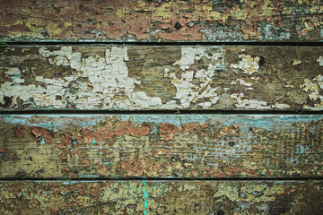 Texture of an old tree, vintage wood background peeling paint