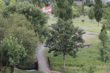 Vegetation in an urban park