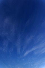 雲