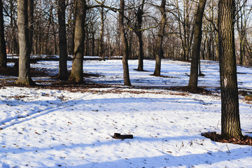 the beginning of spring in the Park , the snow began to melt and thawed 