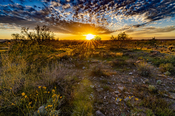 Desert sunset in Sonoran Arizona