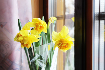 yellow flowers of daffodils on the background of a window in the village