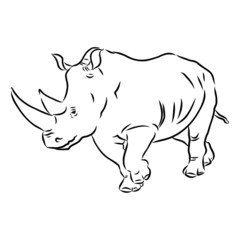 illustration of rhinoceros