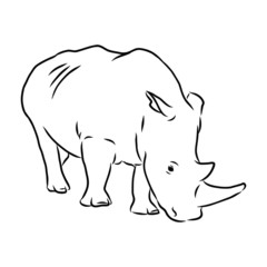 vector illustration of an rhinoceros