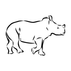illustration of a rhinoceros