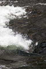 Rapids in the Yellowstone River