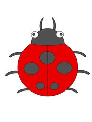 illustration of a ladybug 