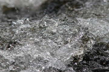 Wasser