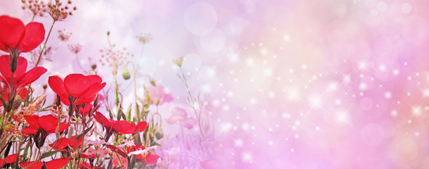 Special Occasion red flower sparkle pink wide banner - random shimmering sparkles flowing across the bokeh background with meadow flowers in left corner and copy space 