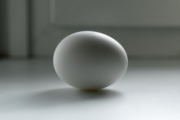 White chicken egg with shadow. One egg on a white surface