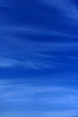 雲