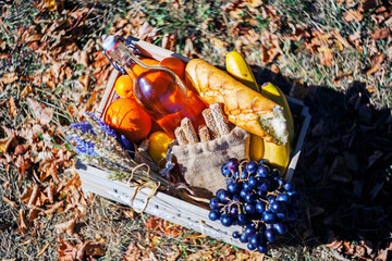 autumn picnic wooden box with fruits-grapes, bananas, Oranges and bottle of drinking water