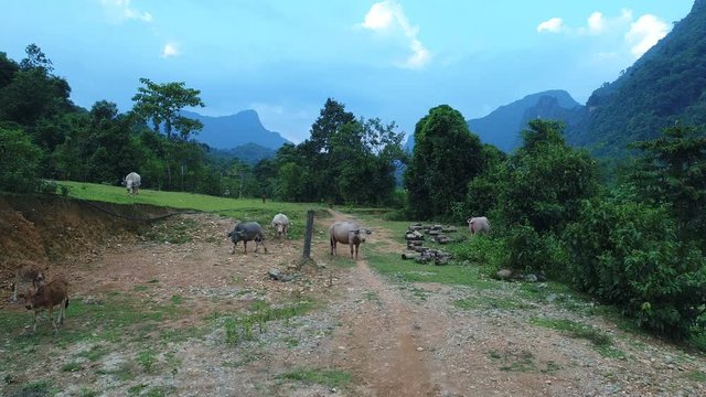 Paysage autour de la ville de Vang Vieng au Laos vue du ciel
