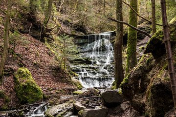 Little waterfall down the canyon in the middle of the green forest