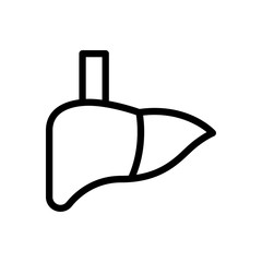 Fototapeta premium anatomy