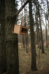 Bird feeder weighing on a tree in the forest