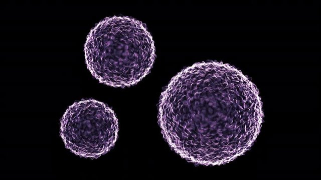 novel virus motion loop