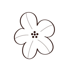 beautifull flower garden spring line style