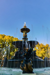 fuente
