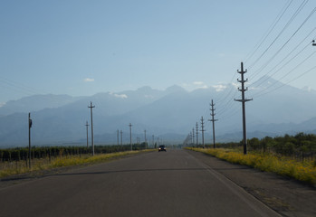 mendoza