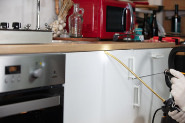 pest control worker With Flashlight  Spraying Insecticide