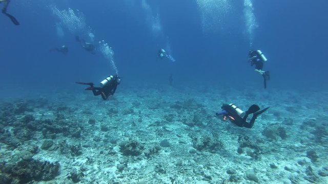 Scuba divers in a Maldives underwater marine current 