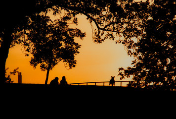 A couple and their dog are silhouetted against the sunset in Greenwich, London, UK
