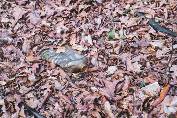 A dirty plastic bottle left in the autumn forest. Plastic waste in the environment. Autumn season. Plastic bottle garbage in a forest.