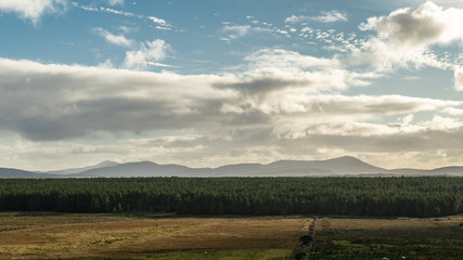 Fototapeta na wymiar Forest, County Donegal, Ireland
