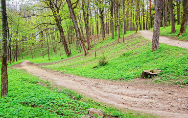 Path in Traku Voke public park in Vilnius Baltic