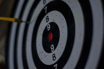 Fototapeta premium Playing darts is very enjoyable