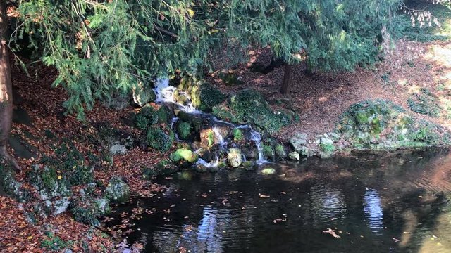 A little pond in a Monza Park in Italy.