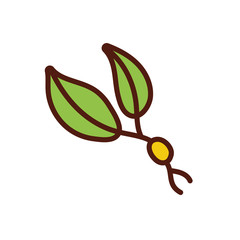 leafs plant ecology flat style icon