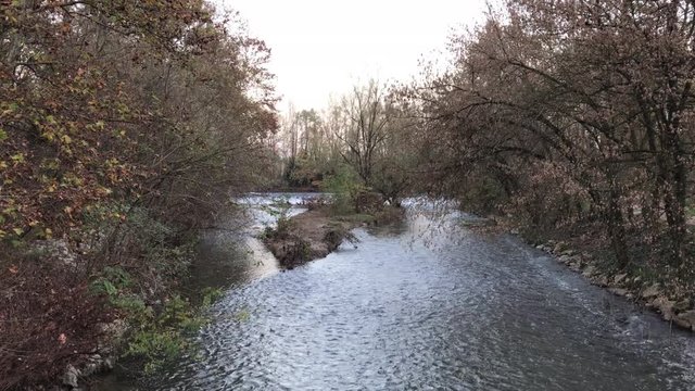 A river in a forest during the fall in Italy