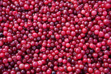 fresh natural juicy cranberries background