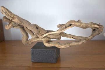 racine d'arbre déco sur socle en bois