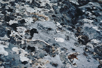 Grunge texture of wild stones in nature