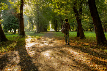 loneliness concept of single guy back to camera walk in park dramatic sun rise morning road between...