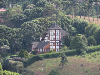Fototapeta na wymiar Swiss style houses being seen from a long distance