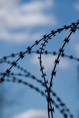 Barbed wire barrier war territory, roadblock quarantine on background.
