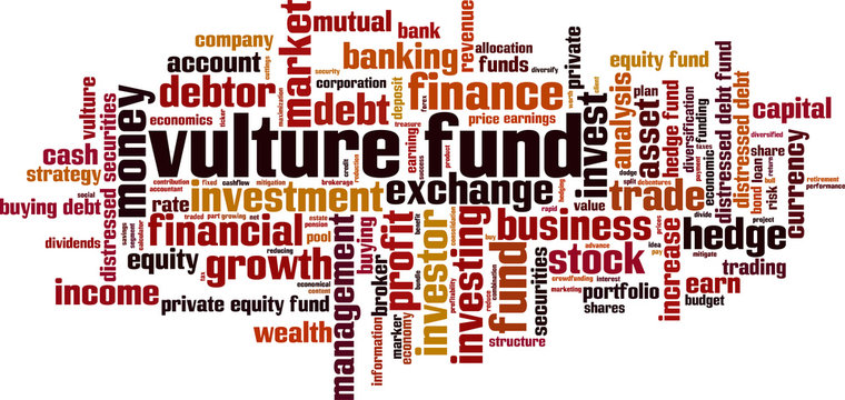 Vulture Fund Word Cloud