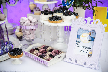 Little girl birthday party table with princess cake, macaroons, cupcakes, and sugar cookies. Candy bar for kids. Sweet holiday buffet with sweets and other desserts.